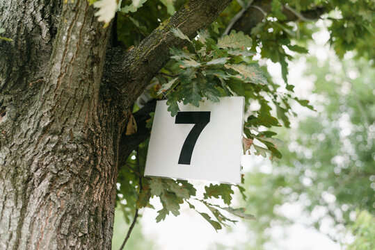Number seven sign