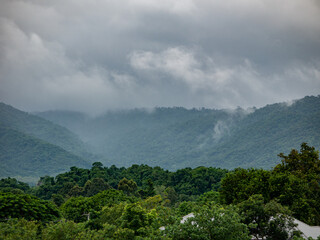 Fototapeta na wymiar Photos of Fog and mountains at Khao yai National Park , Thailand.