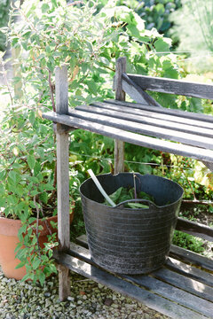A trug on a shelf in a garden.