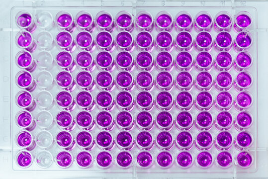 Organized purple test tubes in close-up