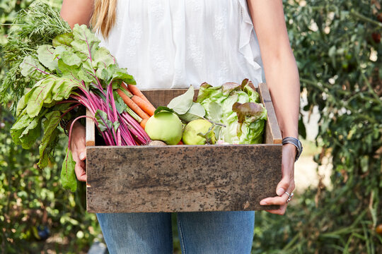 Woman holding a wood box in garden with fresh picked vegetables