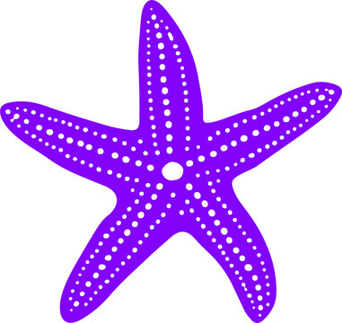 recommend clip art: sea star icon isolated on background