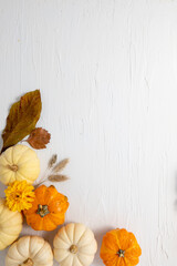 Fall composition with white space for copy