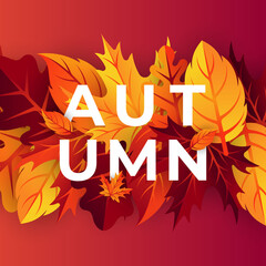 Autumn background vector with decorative leaves. Autumn fall Vector background template. Abstract Autumn background design template for ad, poster, banner, flyer, invitation, website or greeting card