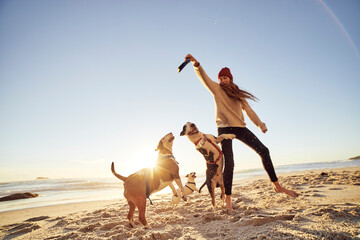 A dogs life, Sand sticks and sea.