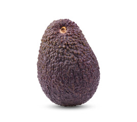 avocado on white background