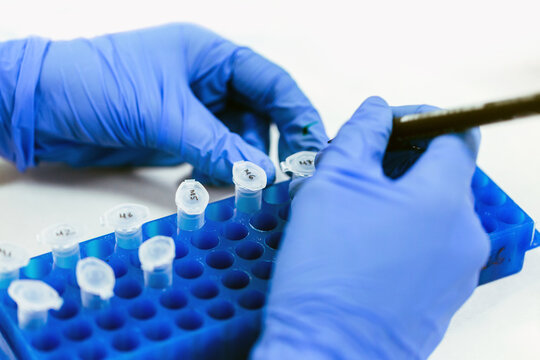 Biologists Wrriting Down Codes in the Test Tubes