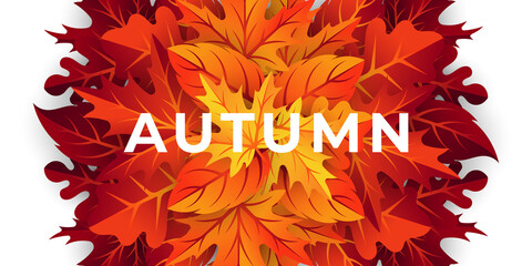 Autumn background vector with decorative leaves. Autumn fall Vector background template. Abstract Autumn background design template for ad, poster, banner, flyer, invitation, website or greeting card