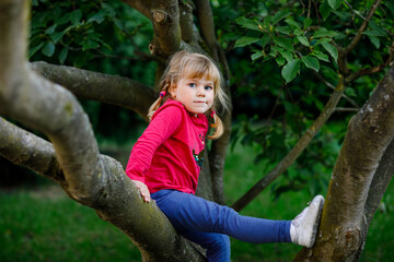 Little toddler girl climbing on tree on family backyard. Lovely happy child hanging on magnolia...