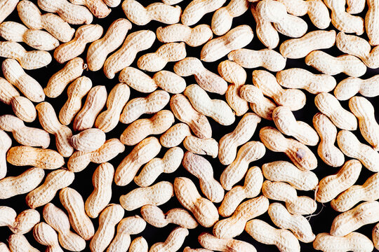 Peanuts
