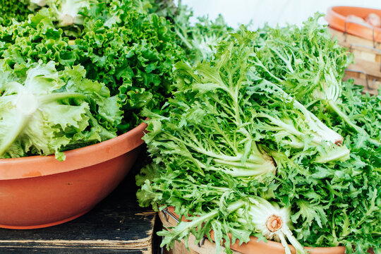 Fresh gren lettuce for sale at an oudoors farmers market