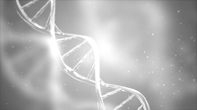 Abstract White DNA 3D Hologram glowing rotating DNA double helix loop animation. Science and medicine concepts. technology, medicine, gene therapy, development, engineering, AI synergy