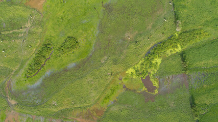 Vertical aerial view of wetlands near Mompos, Colombia