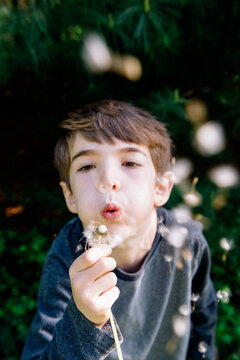Little boy blows dandelion seeds outside in summer