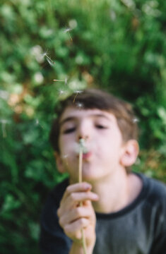 Little boy blows dandelion seeds outside in summer