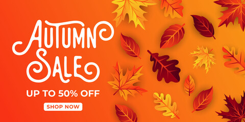 Autumn sale background vector with decorative leaves. Autumn Sale Vector background Illustration. Abstract Autumn Sale background design template for advertising, flyer, web banner, poster, brochure