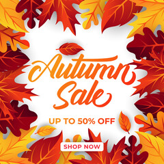 Fototapeta na wymiar Autumn sale background vector with decorative leaves. Autumn Sale Vector background Illustration. Abstract Autumn Sale background design template for advertising, flyer, web banner, poster, brochure