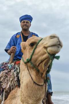 Camel rider