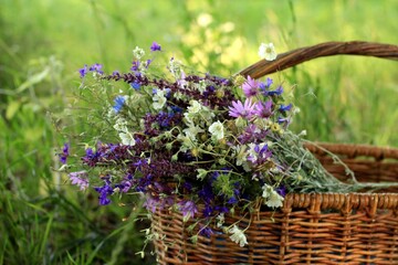 flowers in a basket