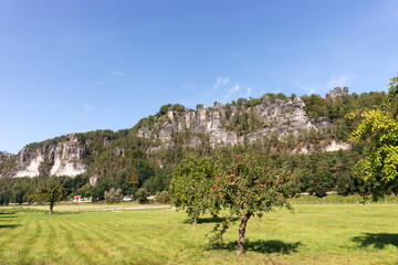 Naklejka premium View on the Bastei Rocks in Saxon Switzerland with apple tree in the foreground. Germany