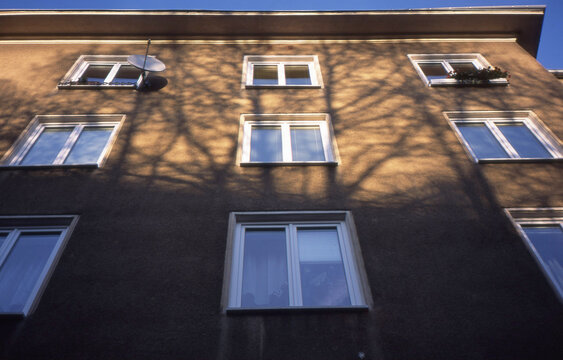 Building with tree shadows over