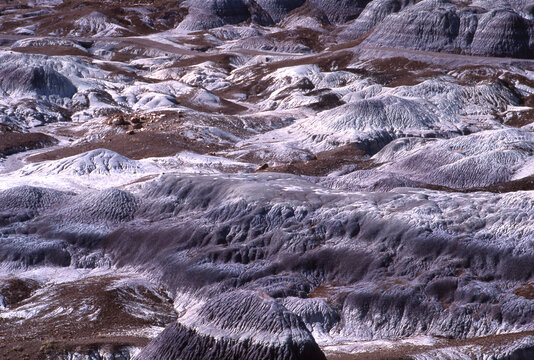 badlands steppes of petrified forest national park arizona dissected eroded ridges dry riverbeds