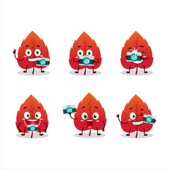 Photographer profession emoticon with red dried leaves cartoon character