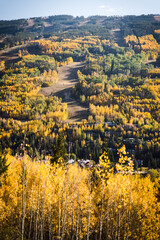 Obraz premium Vail, Colorado during autumn. 