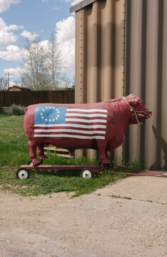 patriotic cow