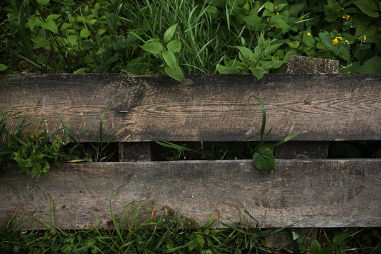 Wooden and grass background