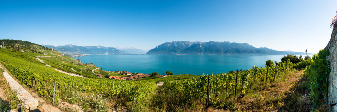 Vineyards of Lavaux at Lake Geneva