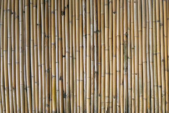 Natural Bamboo Wall