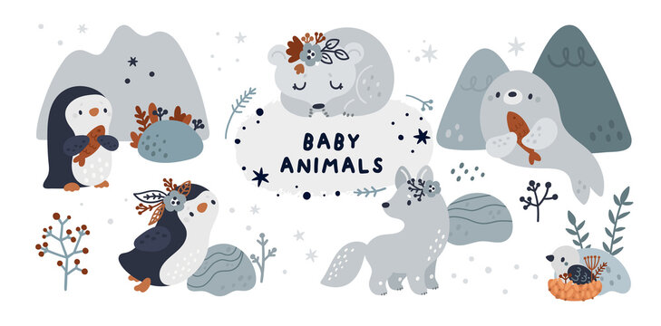 Arctic animals and plants collection. Set with cute baby animals: seal, penguin, bird in the nest, wolf, arctic fox. Childish vector illustration in scandinavian style isolated on white background