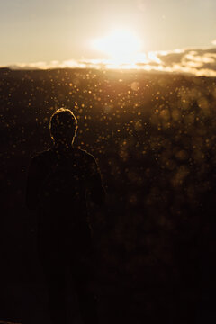 Man in the nature looking at the sunset surrounded by midges