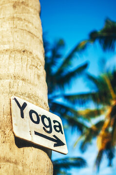 Simple wooden Yoga sign on a palm tree