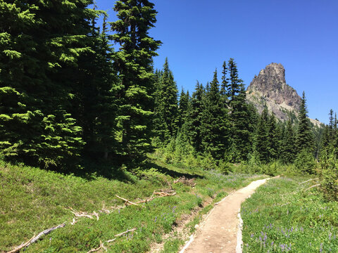 Hiking trail through mountains and lush, green forest