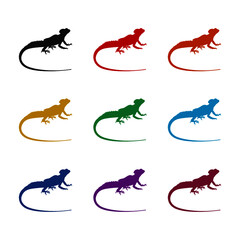 Lizard with long tail wild animal icon, color set