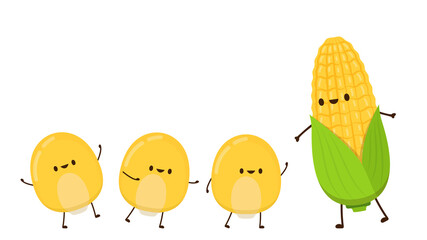 Corn vector. Corn character design. Corn on white background. Corn kernel vector.
