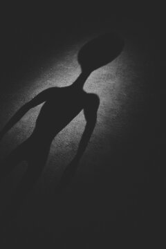 Alien Shadow in Spotlight