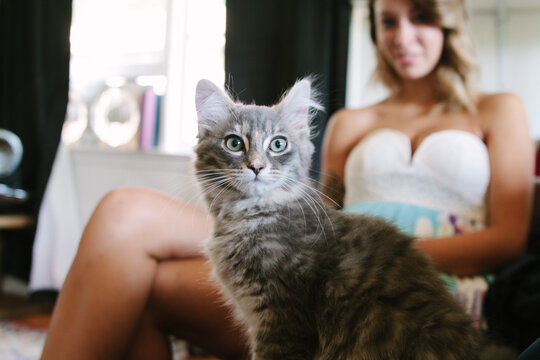 small kitten looks at camera with young woman behind