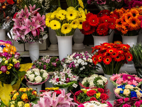 Colorful flowers at the flower market in Tallinn, Estonia
