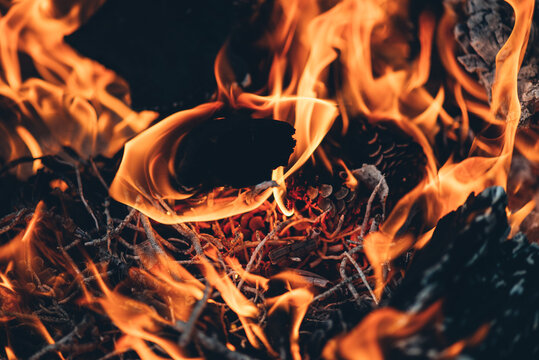 detail of fire in bbq