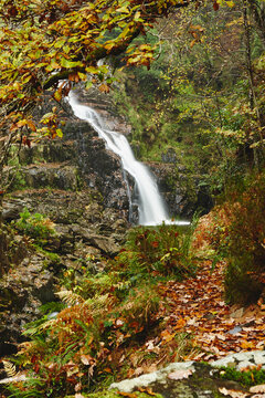 Pistyll Cain waterfall, Coed y Brenin forest in autumn. North Wales, UK