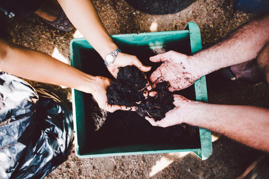 Couple preparing worm for gardening