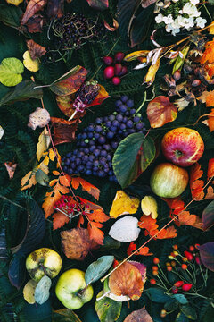 Autumn still life with garden fruits