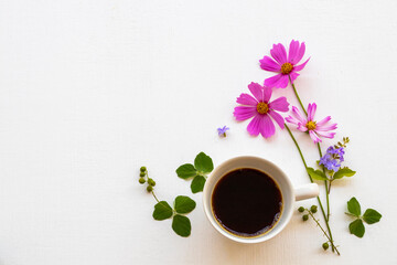 colorful pink flowers cosmos  with hot coffee espressor arrangement flat lay postcard style on background white wooden