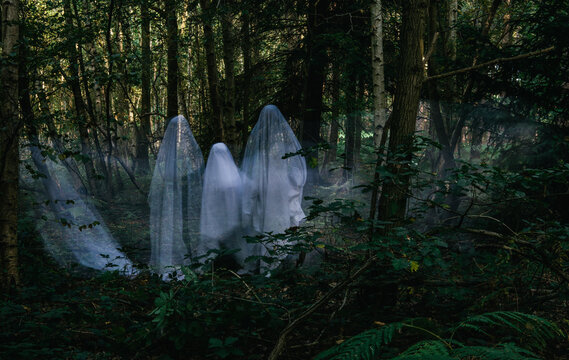 Family of Halloween ghosts in the woods