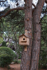
In the park, a skillet hangs on a tree.
Wild nature.
For birds.