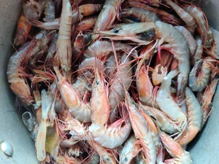 sea prawns found  in silver colored vessel from close up view from top angle.