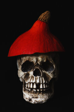 Skull with pumpkin hat